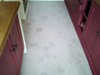 The Carpet Cleaning Co. 357273 Image 1